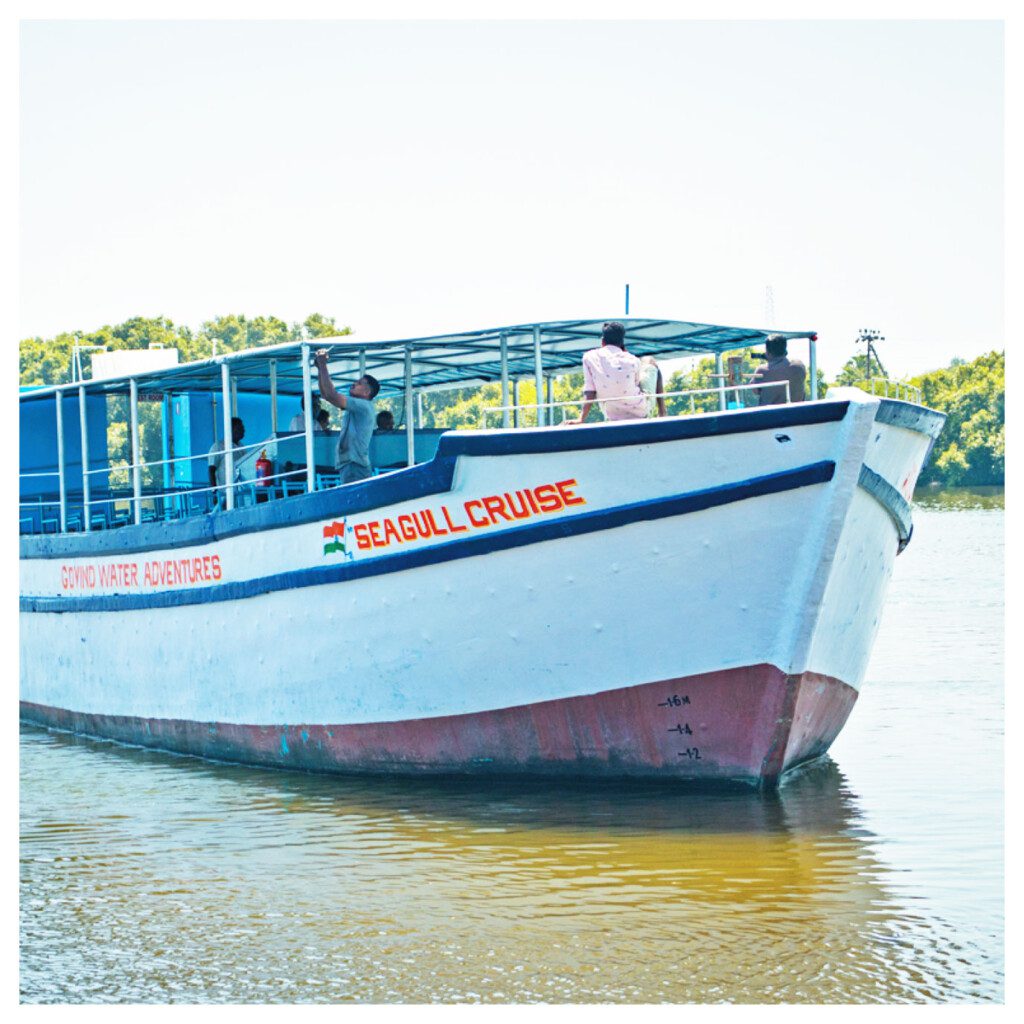 Seagull Cruise Boating Ride 1 - Pondicherry